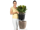 Lechuza Pflanzentopf Classico Premium 21 LS Dunkelgrau