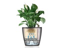Lechuza Pflanzentopf Classico Premium 21 LS Silber