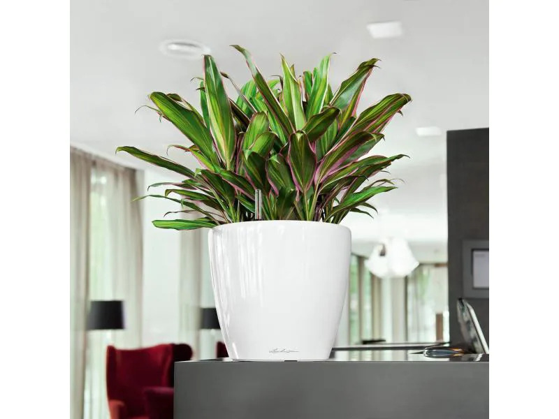 Lechuza Pflanzentopf Classico Premium 28 LS Silber