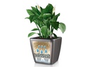 Lechuza Pflanzentopf Quadro Premium 21 LS Silber