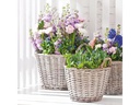 Opiflor Weidenkorb Hessen, 22 cm Grau