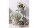 Opiflor Weidenkorb Hessen, 34 cm Grau