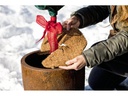 Windhager Mulchscheibe Cocodisc ø 60 cm