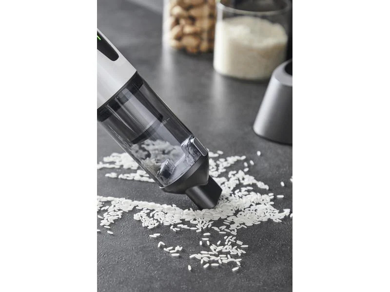 Rowenta Handstaubsauger XTOUCH AC9736 Grau/Schwarz