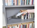 BLACK+DECKER Akku-Handsauger Dustbuster