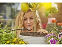 Gardena Bewässerungs-Set AquaBloom