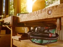 Bosch Trockensauger  EasyVac 3