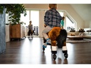 zoosy Reittier Pferd Gr. S