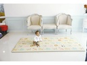 Dwinguler Spielmatte Animal Parade 190 x 130 cm