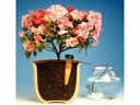 Blumat Endtropfer