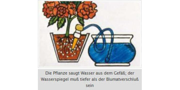 Blumat Endtropfer XL