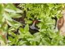 Gardena Start-Set S 13010 Micro-Drip-System Pflanzreihe