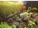 Gardena Start-Set S 13010 Micro-Drip-System Pflanzreihe