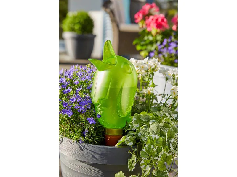 scheurich Wasserspender Bördy XL Transparent