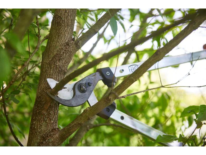 Felco Astschere 211-60 600 mm