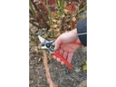 Felco Gartenschere 11