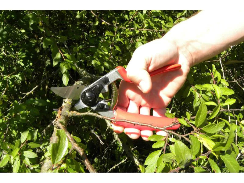 Felco Gartenschere 12 Rollgriff