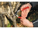 Felco Gartenschere 13