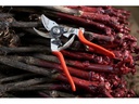 Felco Gartenschere 14 Grösse S