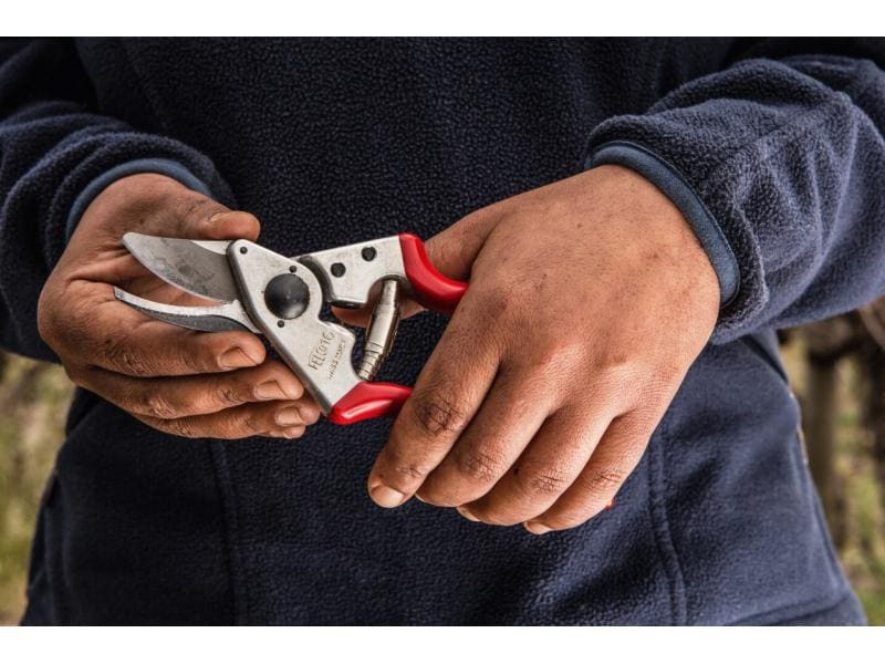 Felco Gartenschere 16 für Linkshänder