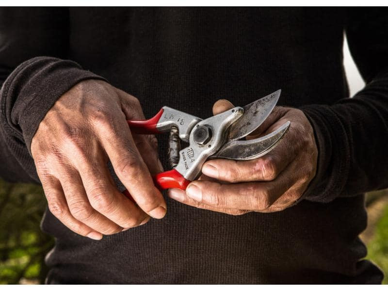 Felco Gartenschere 4