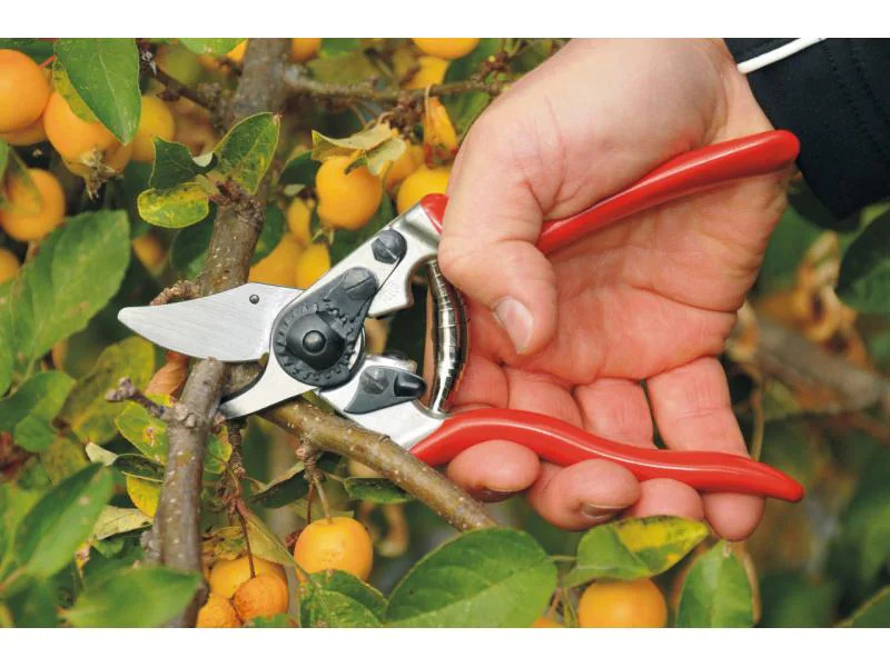 Felco Gartenschere 6