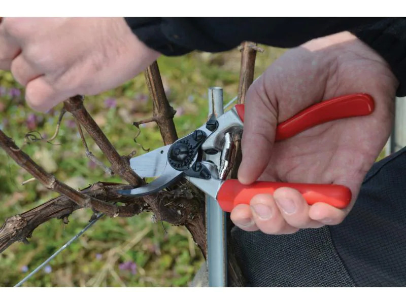 Felco Gartenschere 7 Rollgriff