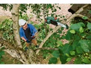 Bosch Akku-Hochentaster UniversalChainPole Solo