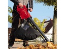 Einhell Elektro-Laubsauger GC-EL 2400