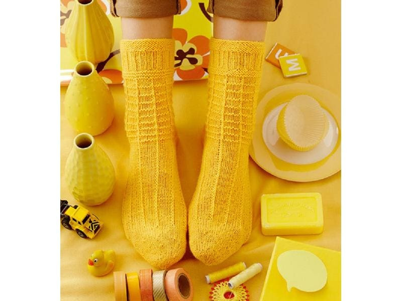 Frechverlag Handbuch Socken stricken