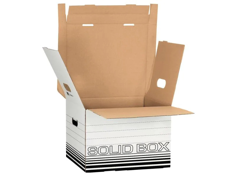 Leitz Archivschachtel Solid Box M Klappdeckel, 10 Stück, Schwarz