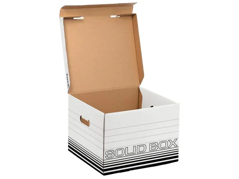 Leitz Archivschachtel Solid Box M Klappdeckel, 10 Stück, Schwarz