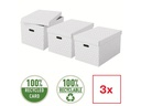 Leitz Aufbewahrungsbox Esselte Home L Gross, 3 Stück, Grau