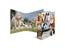 HERMA Ordner Hunde 7 cm, Mehrfarbig