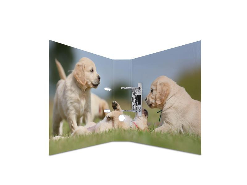 HERMA Ordner Hunde 7 cm, Mehrfarbig