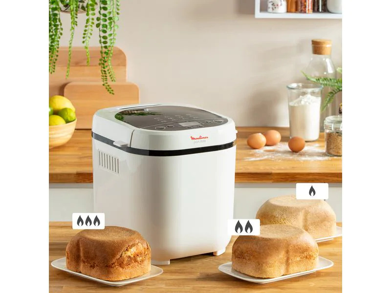 Moulinex Brotbackmaschine Pain Doré 1000 g