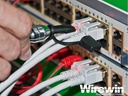 Wirewin Kabelfinder PKL-LED DETEKTOR USB 3-Betriebsmodi
