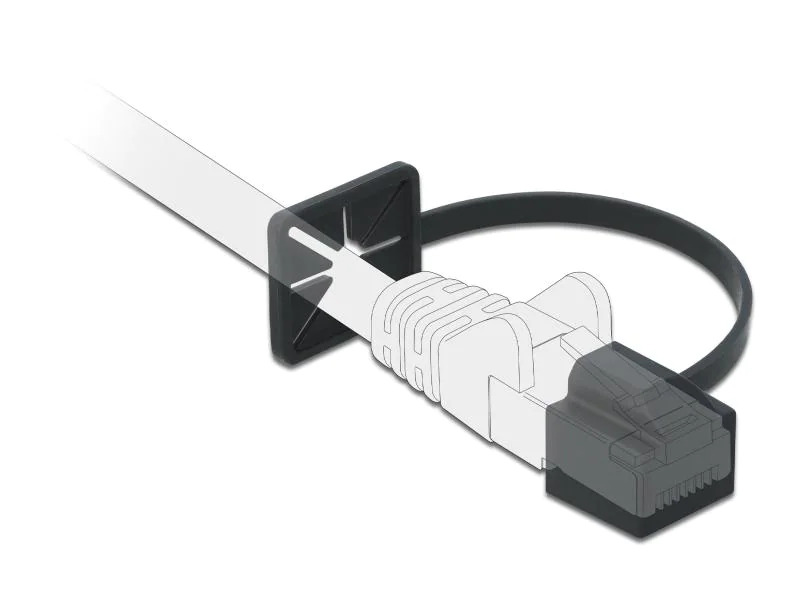Delock Blindstecker RJ45, mit Befestigungsclip 1 Stück