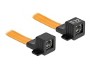 Delock Fensterdurchführung RJ45 FPC, 30 cm 1 Stück