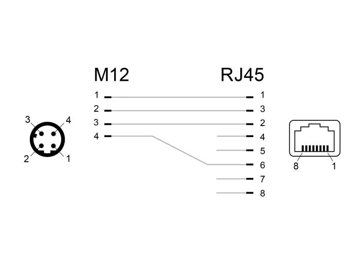 Delock Winkeladapter M12 4 Pin D Stecker - RJ45 Buchse 1 Stück