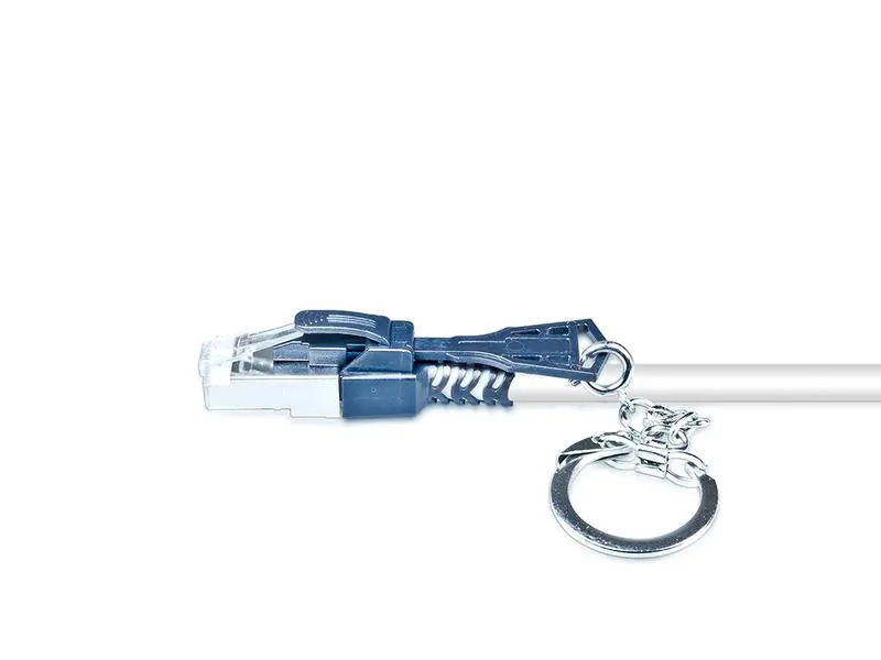 Wirewin RJ-45 SecureLock Key 10 Stück