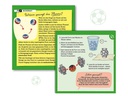 Kosmos Experimentierkasten Fussball-Flummis