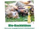 cdVet Hunde-Nahrungsergänzung Calma, 20 ml