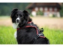 Grossenbacher Geschirr Vary M Schwarz