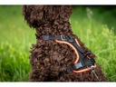 Grossenbacher Geschirr Vary S Orange