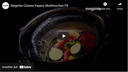 Magimix Dampfgarer 111582