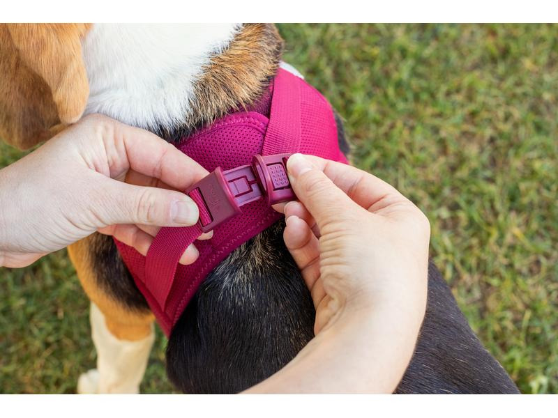 curli Geschirr Vest Air-Mesh 3XS, Fuchsia