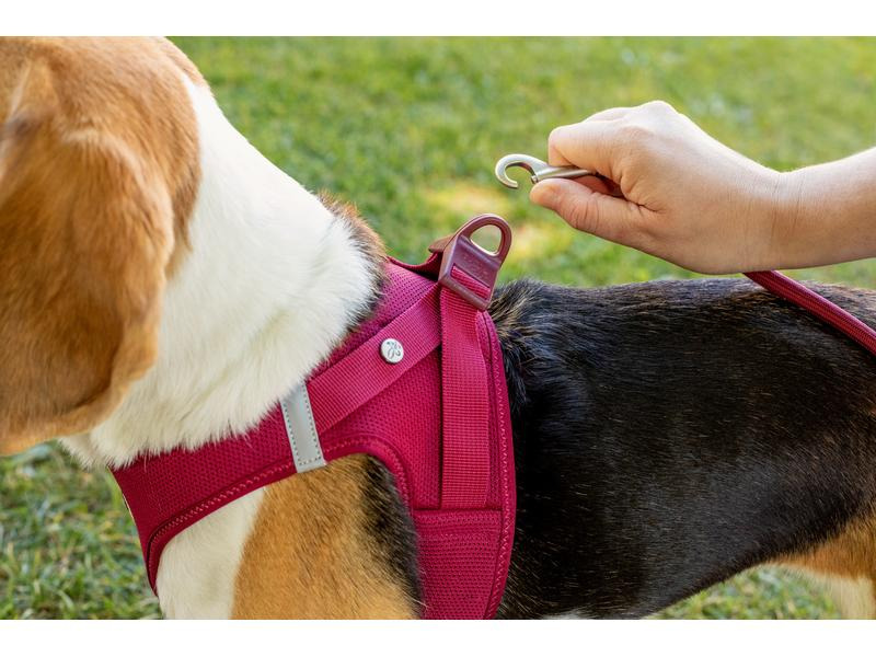 curli Geschirr Vest Air-Mesh S, Moss