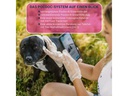 Pocdoc Hunde-Erste-Hilfe-Set Pet Connect