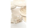 PetHomes Kratzbaum Swiss Dream 230-255cm beige